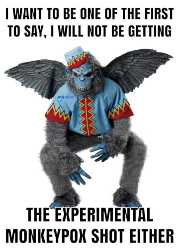 281265972_524266039401320_6541064053777422792_n