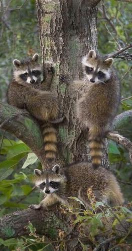 879368e900e9d7c34ff34a736b5f94eb