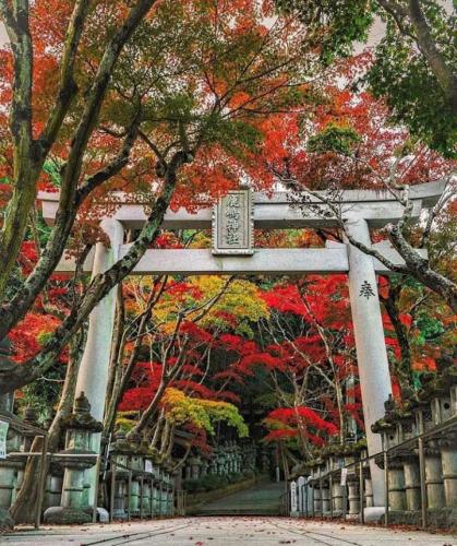 284905634_533364231751386_8127583239814377727_n