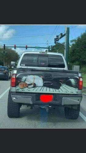 281548813_1388068161711717_6711217968792144588_n