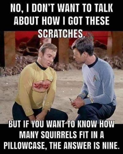 284609721_387968260049378_2890903510937122460_n