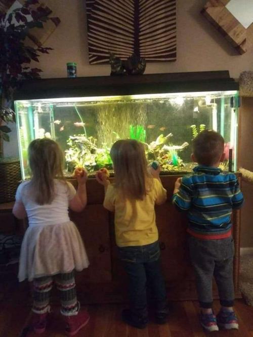 0f7d449c-73e3-4ef0-b012-ba9707b3be54