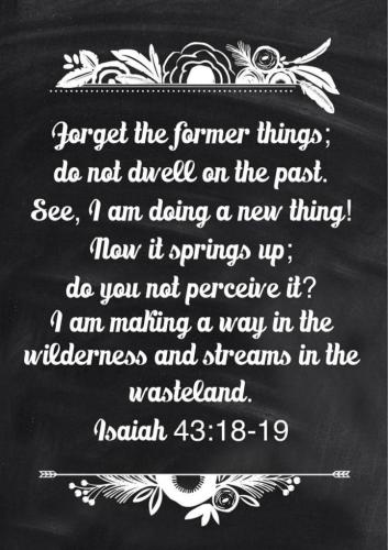 84da1dd0-b4f5-425b-abec-5a955c156276