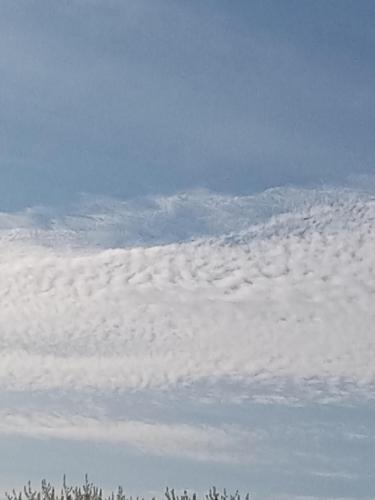 c84e7e3d-fa1b-47da-9655-7cb50fc70646