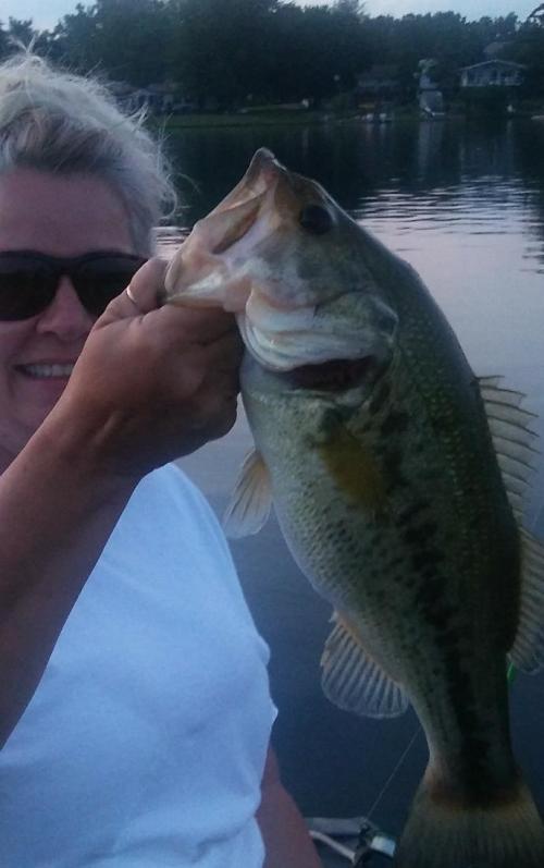 65e96b1f-f743-4c71-9b42-2565a34e09bd