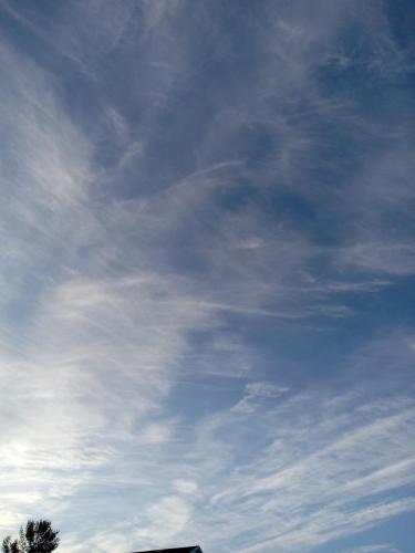 071597ba-cf03-4b3a-83bb-b36f493d4aa5