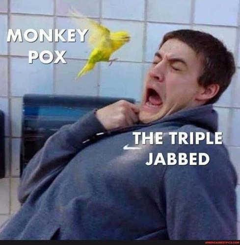 7c8f1079-bdc9-4bec-9d9e-769c2f06a542