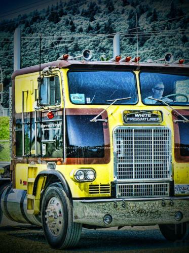 29d67e77-50f5-4543-852c-ce0b66822c25