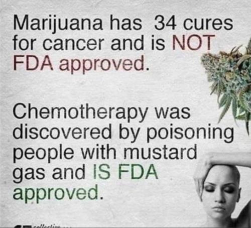 2eb90343-7987-4eb4-9614-773382e0aed6