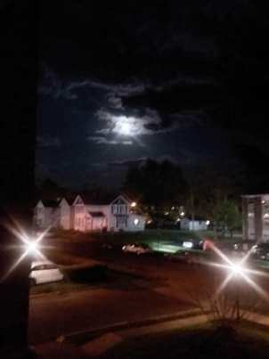 e4e3512c-c434-4ac4-8323-f33fb7e95d4b