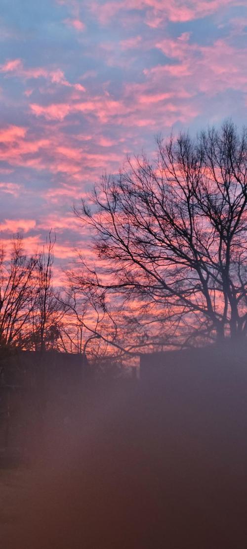 cbd1bdc9-18cf-4b13-826a-32e58382ee99