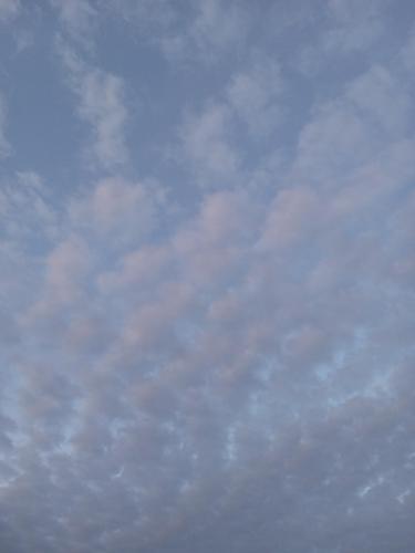 67d21bec-38df-40fd-af03-97c59cc1b3fe