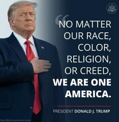 Trump We Are One 1