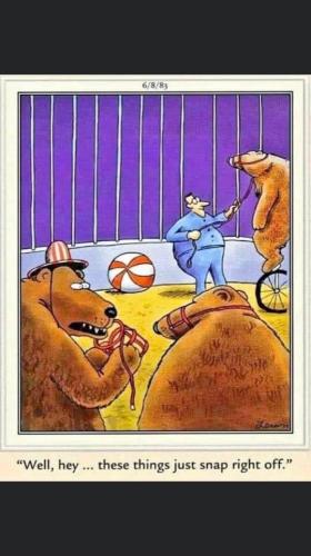 A02FB686-D0EC-4E5E-9BD9-DE0571F646AB