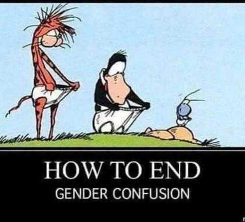 end gender me