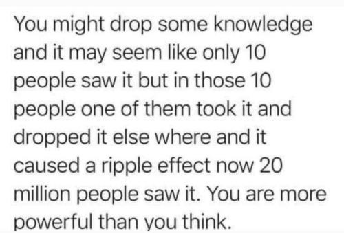 33f8c5c1-07a0-46bd-9a87-9310fd4a1598