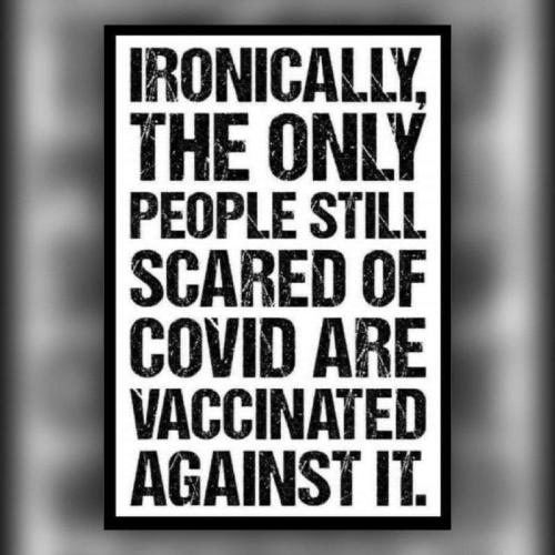 141188f7-cb86-40fc-b54b-77e1f993dd60