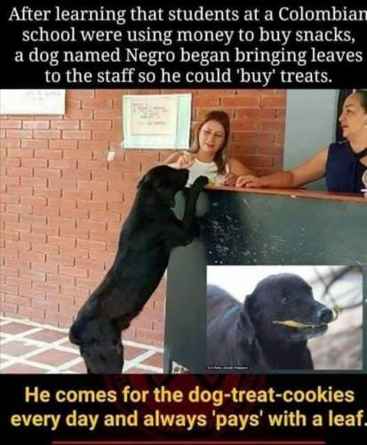 284468991_387963253383212_1114615841375302641_n