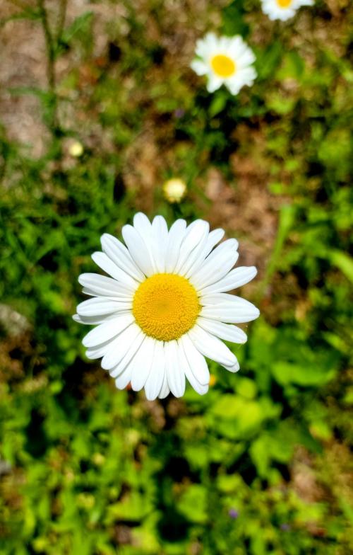 0f48e132-30fe-4362-9dc2-b1c4d89b6664