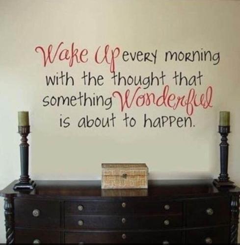 11a0ea77-82e0-4d41-a2b3-0b51b2b82822