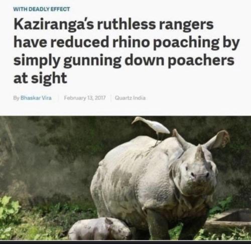 8fff0636-cade-45f2-8f2a-addafa3b5c9a