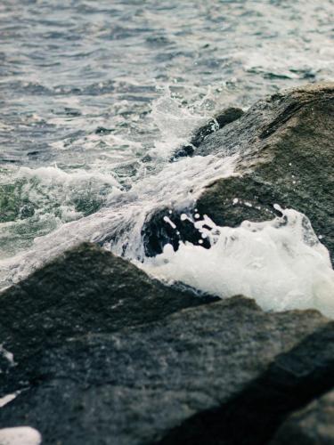 e41cc252-eeaf-4c8d-9225-29c20f3192b2