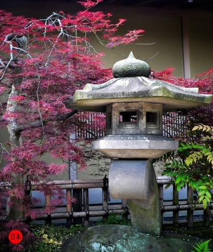 280178070_7435922313146090_2115875658041316820_n