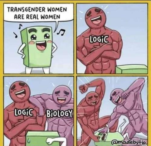 3a788e33-2864-43d6-84d6-412d9f09e296