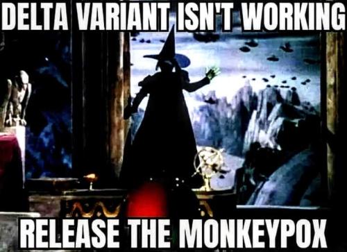 FB_IMG_1653141828555