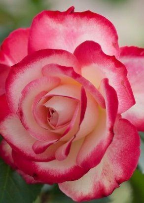 19:27:51 GMT-0500 (CDT)