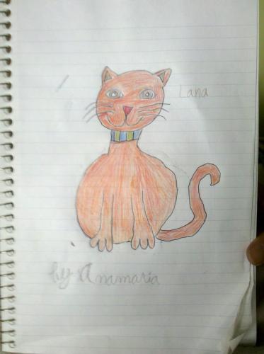 Cat Drawn by my 13yro