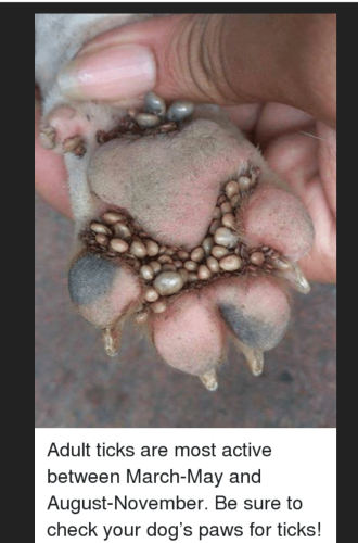 Screenshot_2022-05-10-20-04-09_kindlephoto-16373412