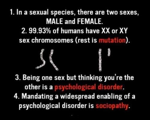 f67e7dac-88f6-4c09-b7d5-4c7ee7dce61e