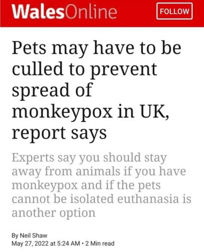 tumblr_8c359cda51a78802d3e4c443c5980d95_49bcbc93_640