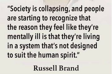 Society 1