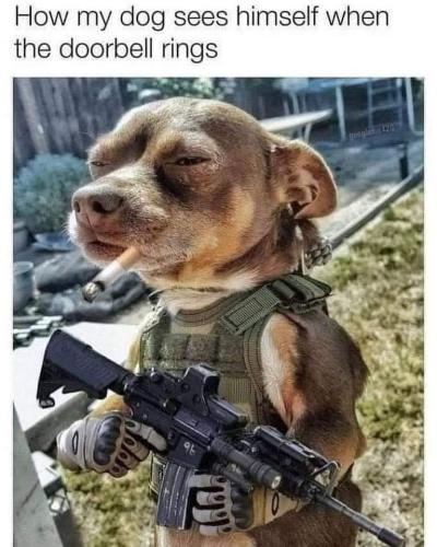 FB_IMG_1653669537609