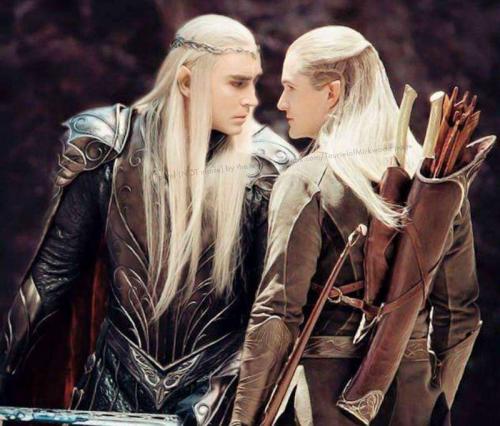 53168f9b-cbb3-49c1-9741-fbff113afc92