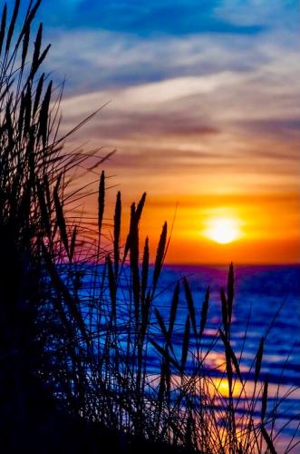 95317261-134E-4F28-8F7A-4A902C39642E