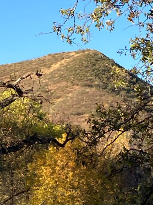 FCAE5CCC-25ED-4755-92F8-A14151930BF5