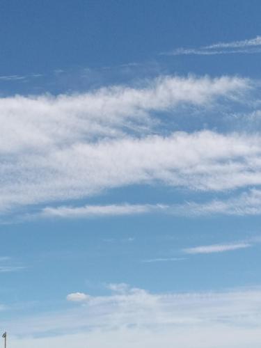 8bcd9391-d087-4028-bded-417b2d47dedd