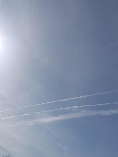 063f982e-dd18-42be-953b-95171a3b6313