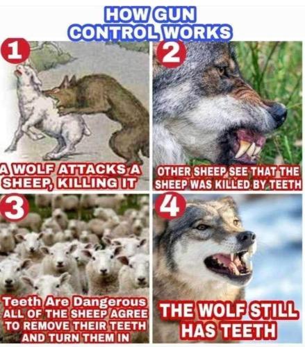 FB_IMG_1654002404555
