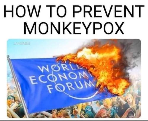 FB_IMG_1653354741249