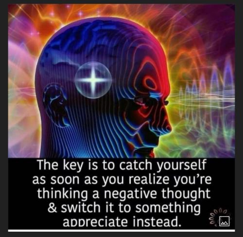 1ed7e83a-655e-47ba-81f0-2f5e035641fb