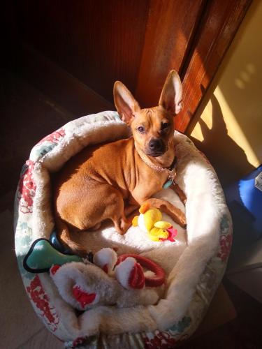 d62f6dc3-da7a-4936-baf6-b05ea068b04a