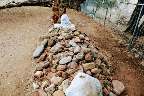 20210601161429_IMG_2494~2