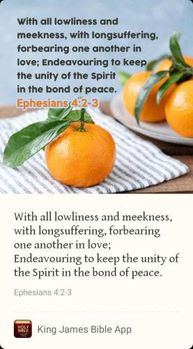 fc060633-6b18-4a69-82c4-68d787959b68