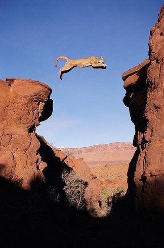 tumblr_9f02314444d78e464ae656f4492dcd80_b0b4954b_400