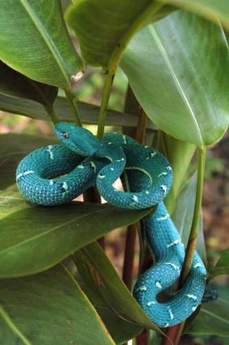 14705753_10205543438105493_9112486440197280793_n