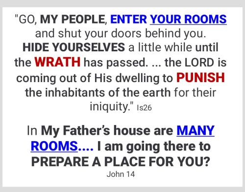 Screenshot_2022-05-19-06-59-51-925_cn.wps.moffice_eng~2